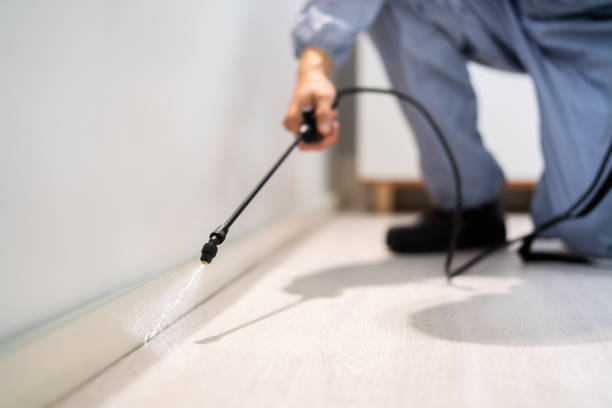 Professional exterminator conducting IPM assessment in Fox Lake