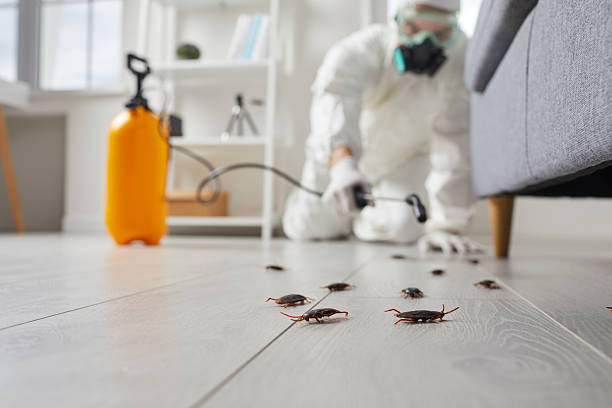 Commercial Kitchen Cockroach Control in Fox Lake